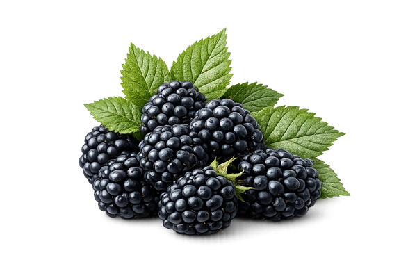 Brombeere
