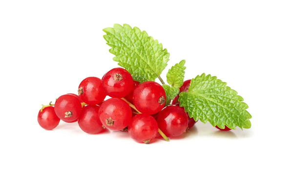 Cranberry
