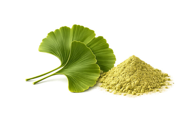 Ginkgo Biloba-Extrakt