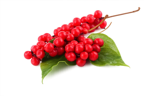 Schisandra 