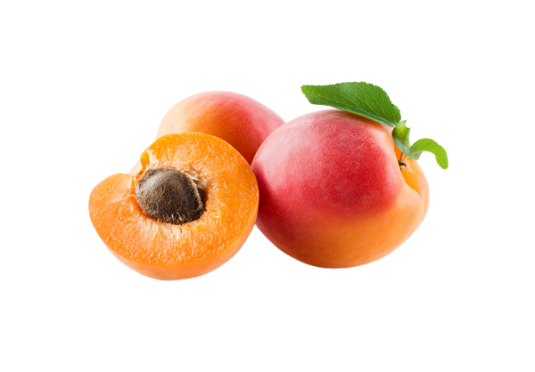 Aprikose